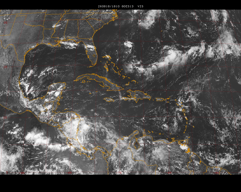 satellite image